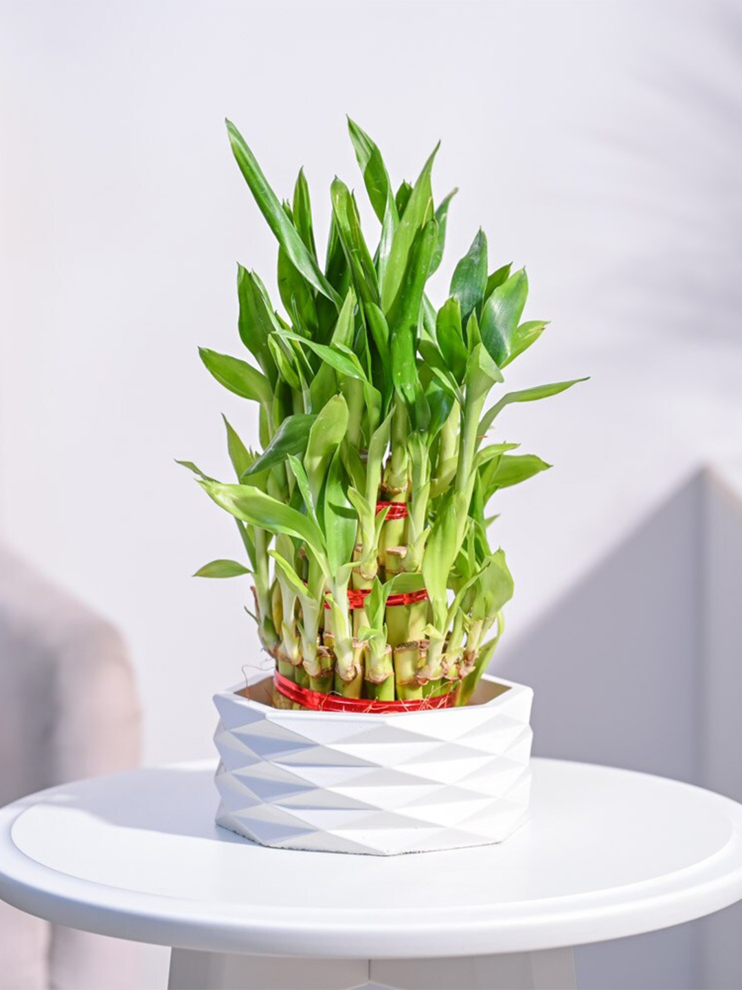 

UGAOO Three Layer Bamboo Plant With Candle Jar-125mm, White
