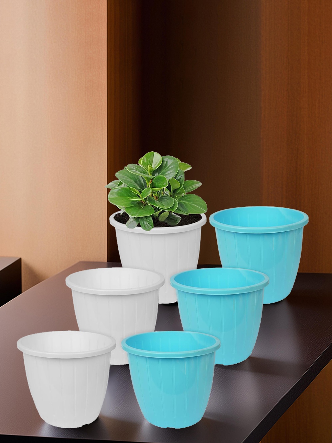 

Kuber Industries White & Blue 6 Pcs Textured Planters Pots