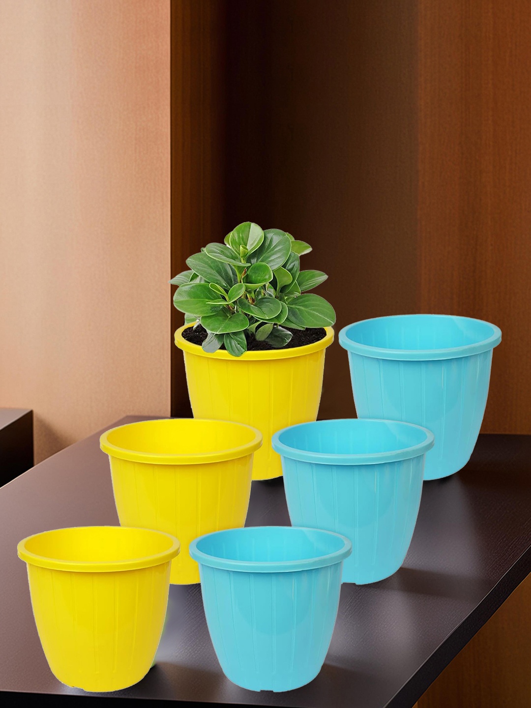 

Kuber Industries Yellow & Blue 6 Pieces Balcony Textured Planters