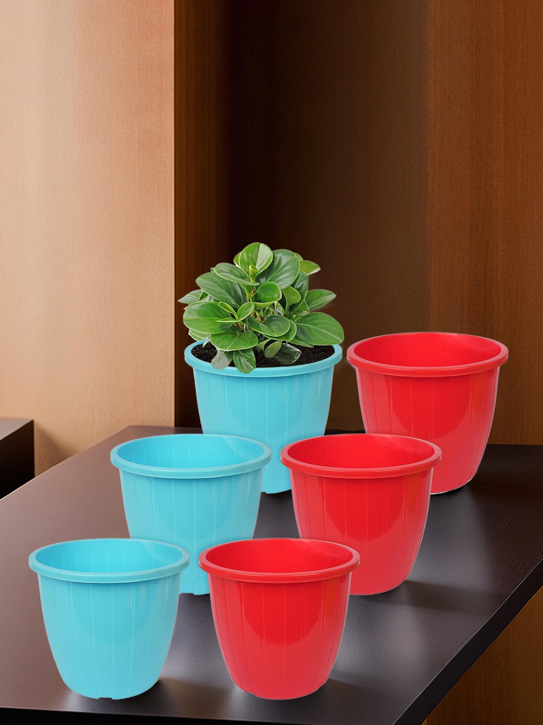 

Kuber Industries Red & Blue 6 Pieces Balcony Textured Planters