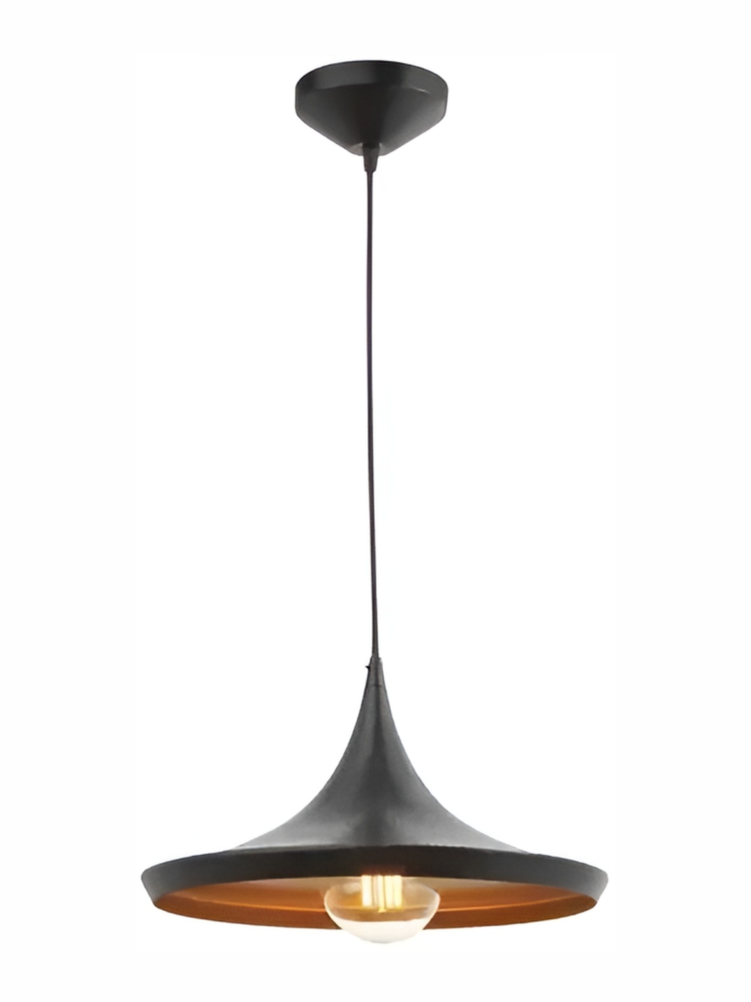 

Areezo Black Abstract Shaped Ceiling Lamp