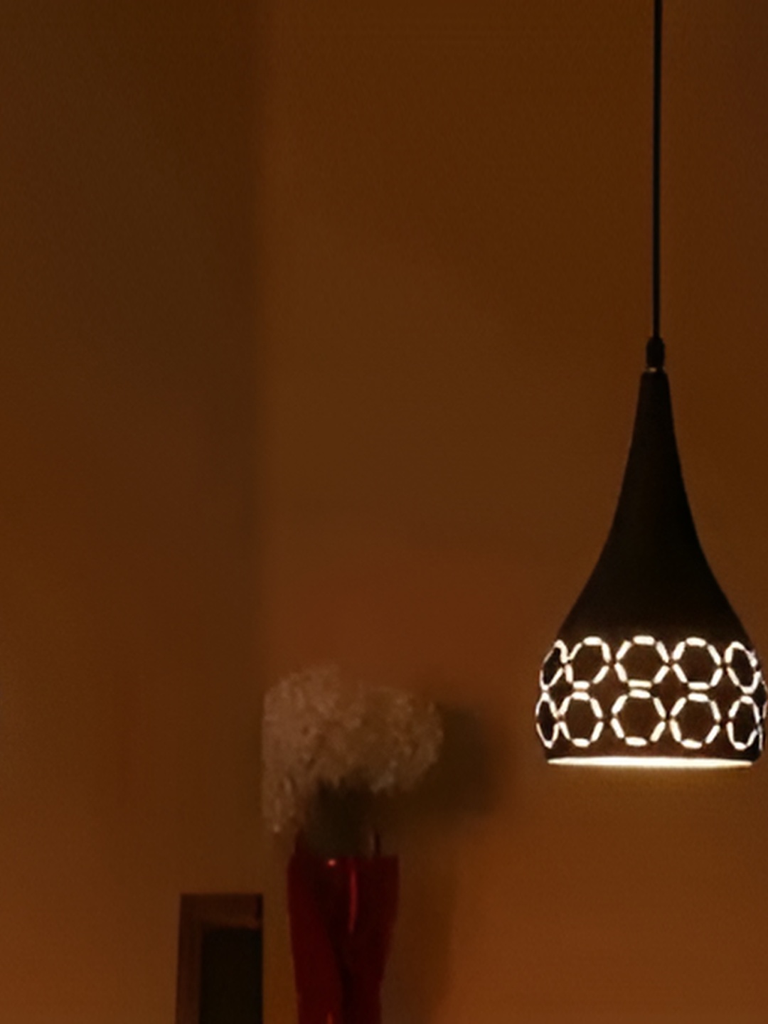 

Areezo Black Aluminium Bell Shaped Ceiling Lamp