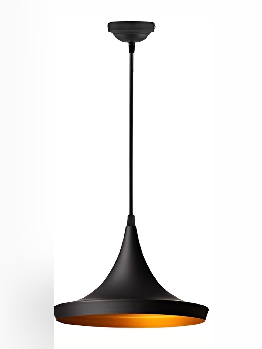 

Areezo Black Abstract Shaped Ceiling Lamp