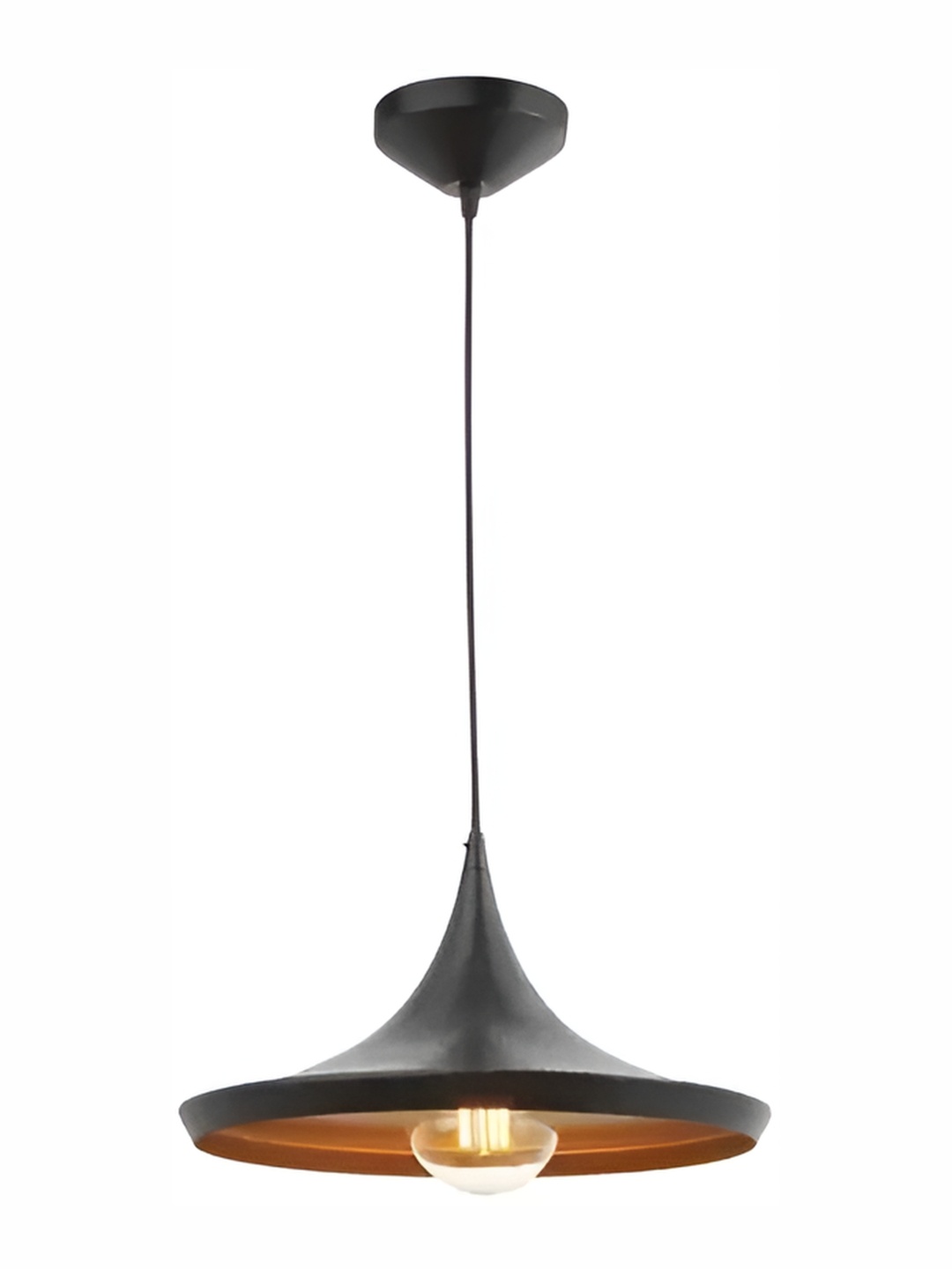 

Areezo Black Contemporary Metal Ceiling Lamp