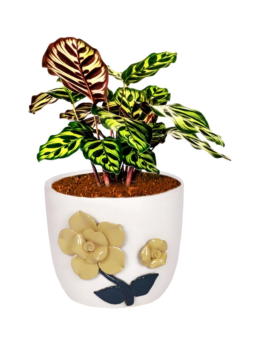 

LASAKI White & Yellow Floral Printed Ceramic Planter