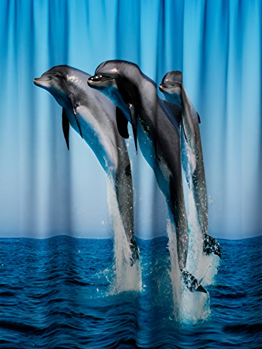 

Lushomes Blue & Grey Dolphin Printed Waterproof Shower Curtain