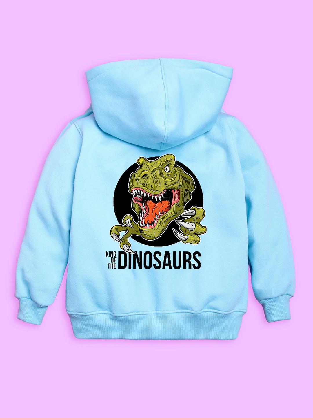 

BAESD Kids Dinosaur Graphic Printed Hooded Fleece Pullover Sweatshirt, Blue