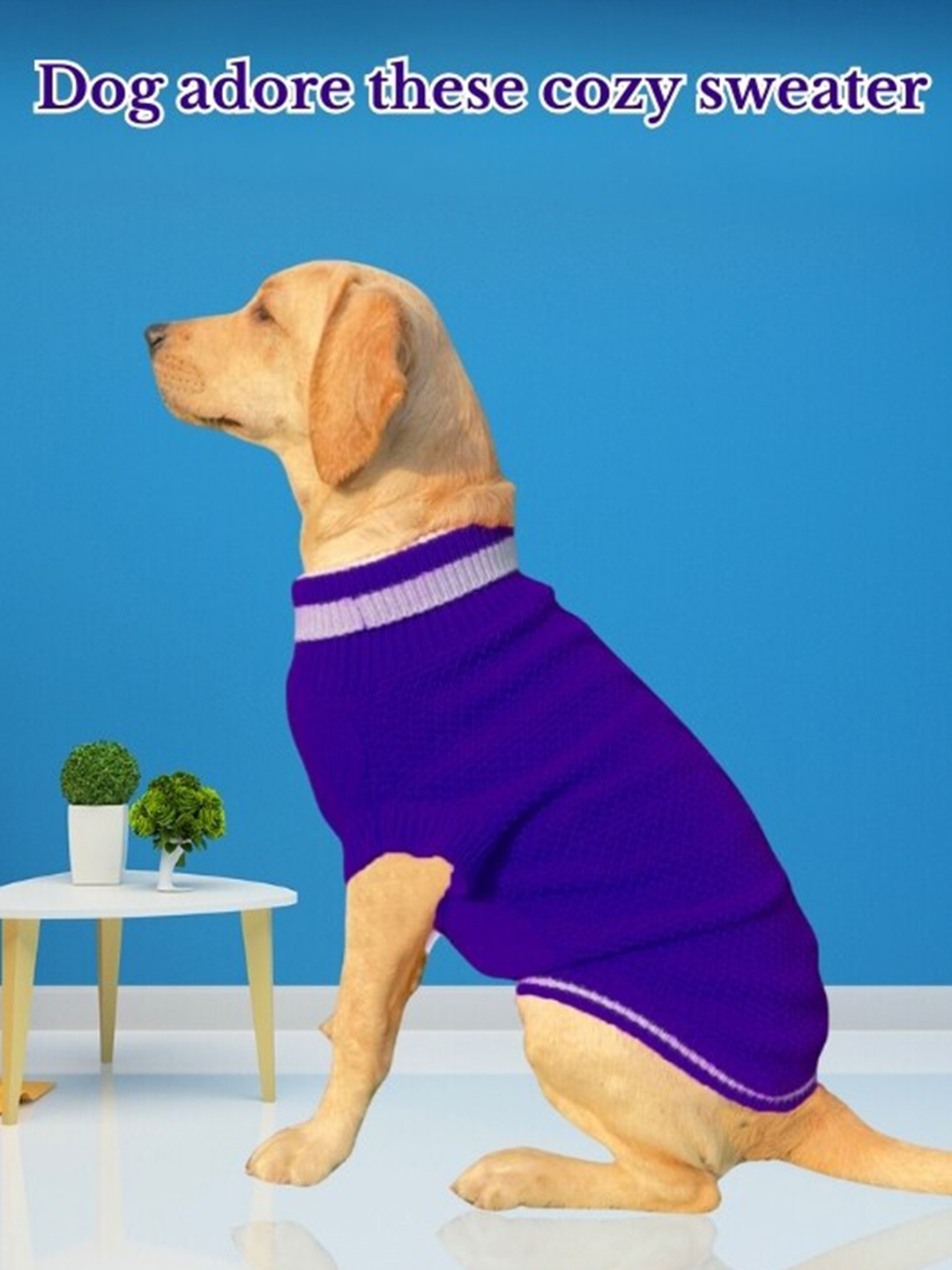 

Lulala High Neck Woolen Dog Sweater, Blue