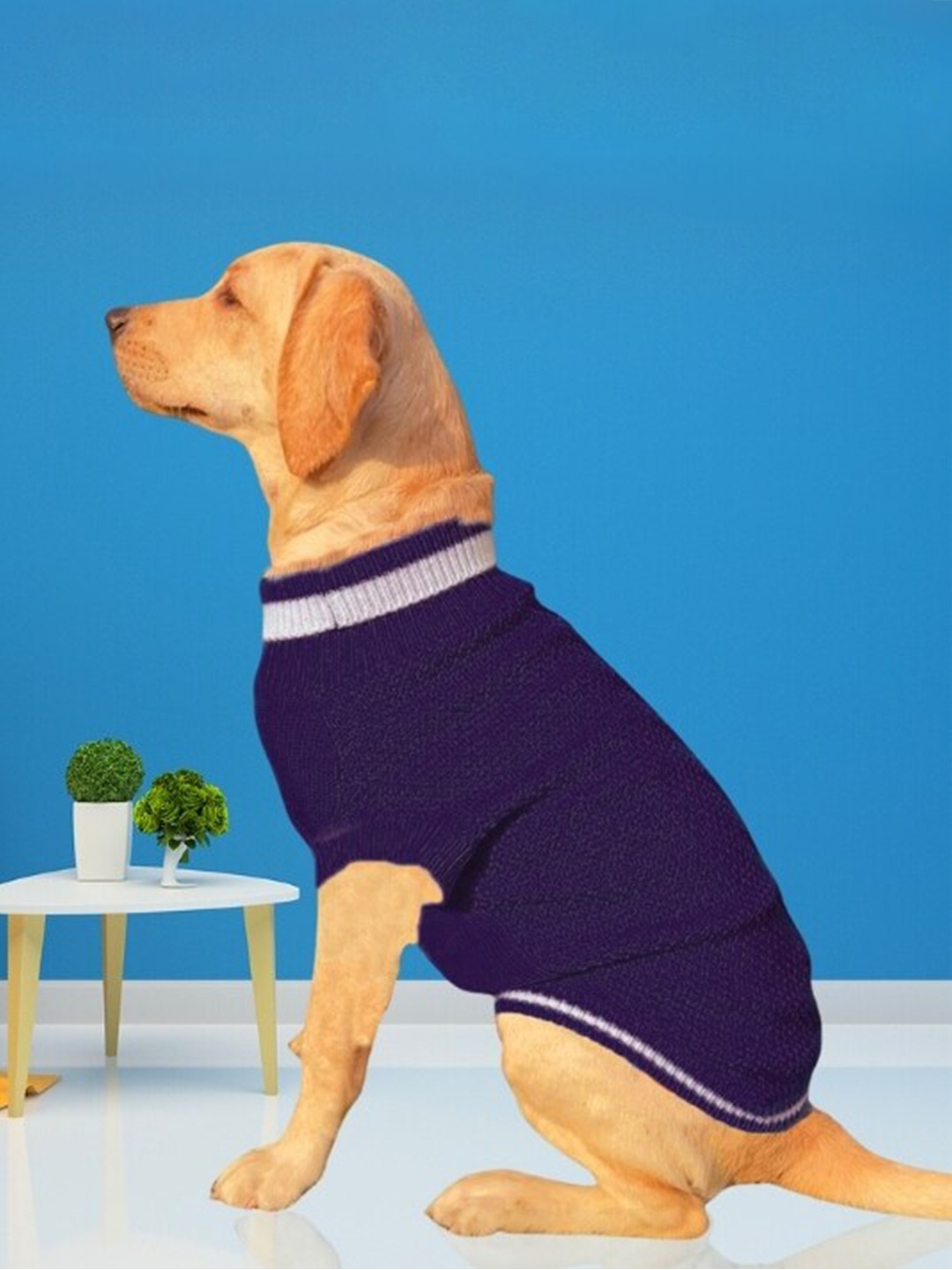 

Lulala Blue High Neck Woollen Dog Sweater