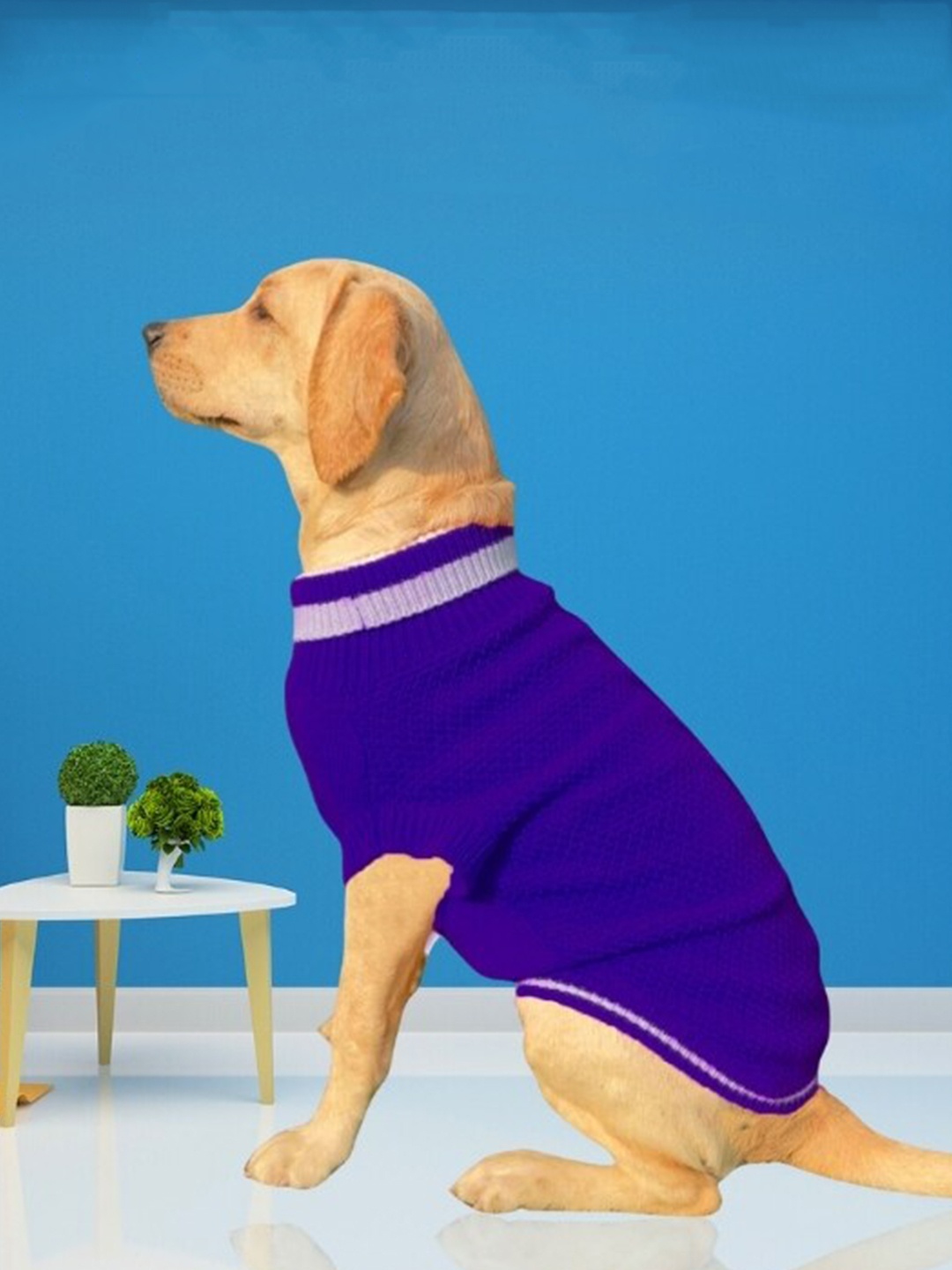 

Lulala Self Design High Neck Woollen Dog Sweater, Blue