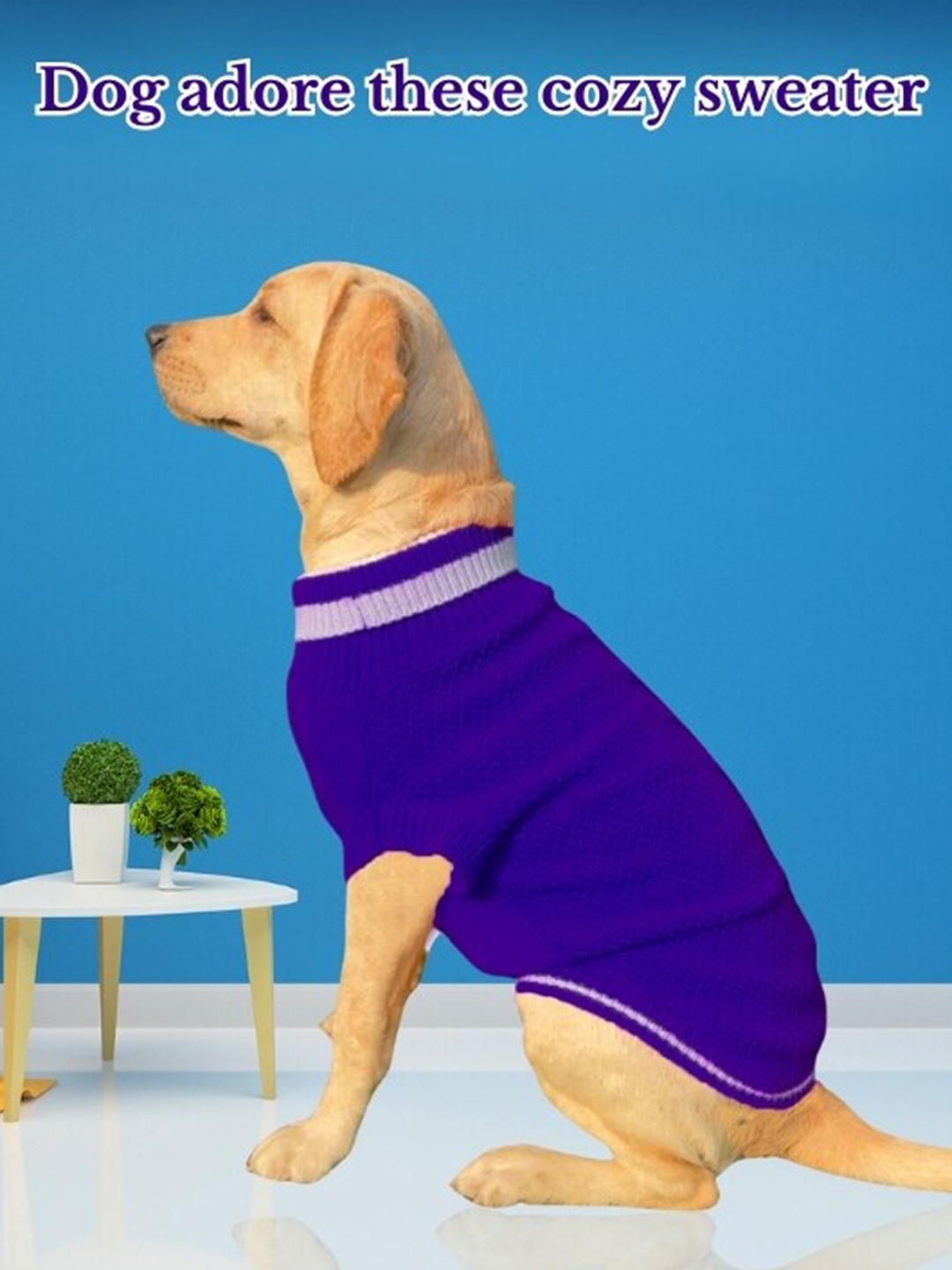 

Lulala Self Designed High Neck Woollen Dog Sweater, Blue