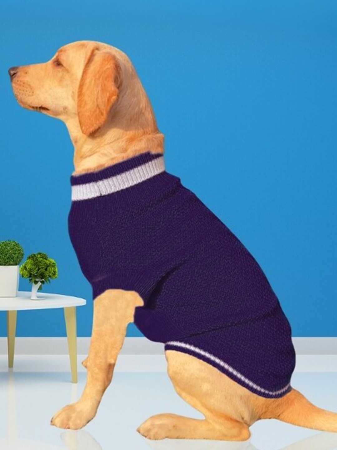 

Lulala Self Design High Neck Woollen Dog Sweater, Blue