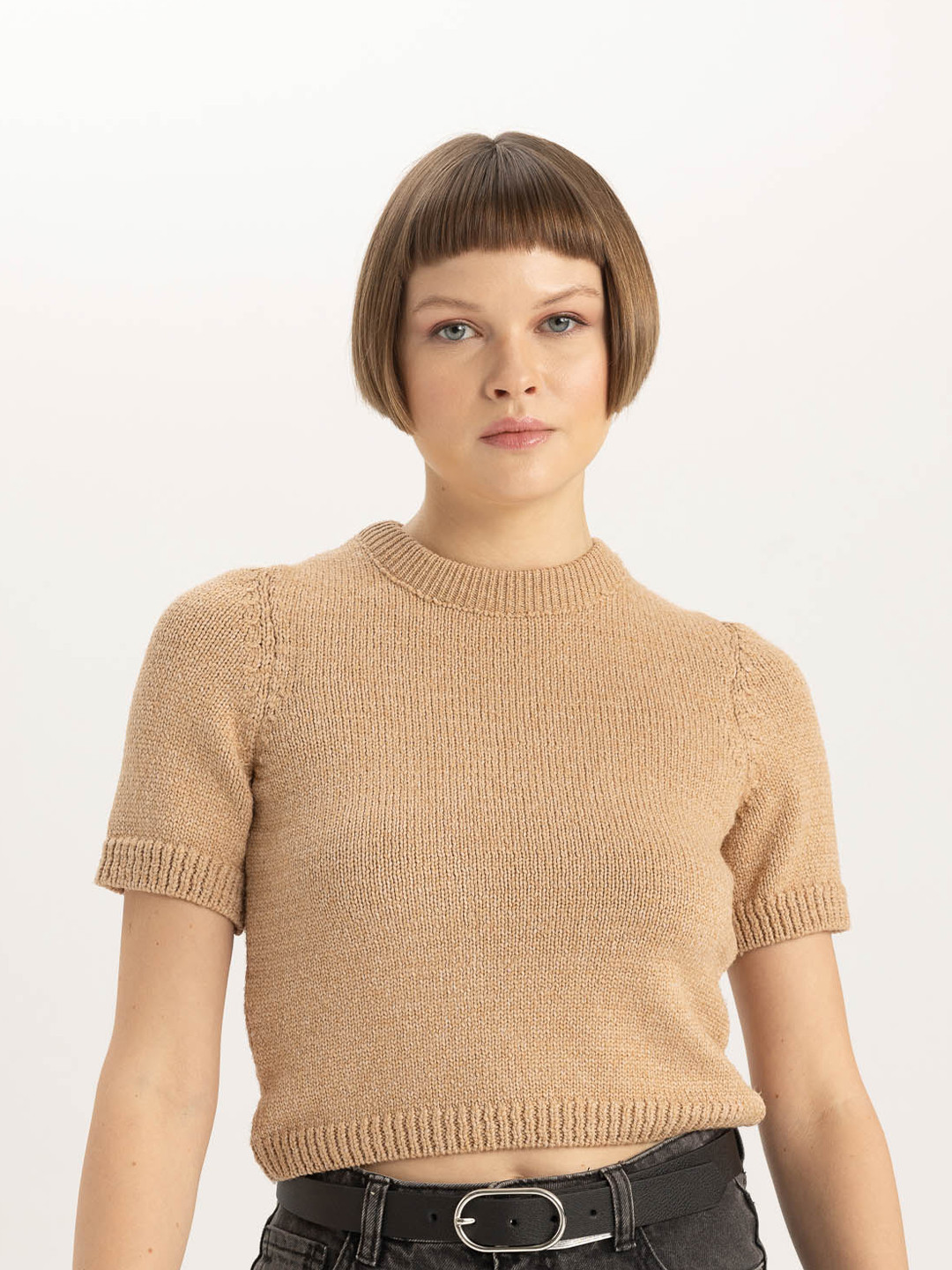 

DeFacto Self Design Cable Knit Crop Pullover, Brown