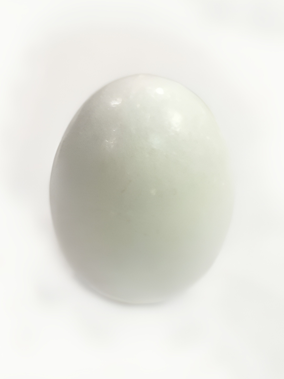 

Navyaksh White Metal Shaligram Decorative Showpiece