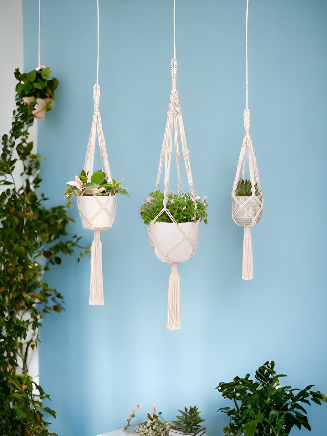 

ecofynd White 3 Pieces Macrame Plant Hangers