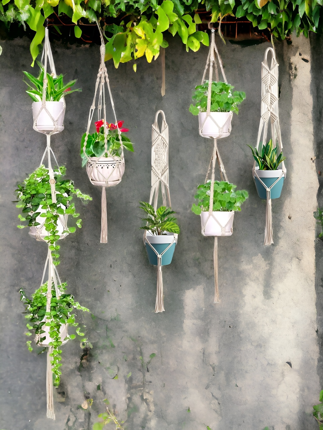

ecofynd 5 Pcs Off-White Macrame Plant Hangers