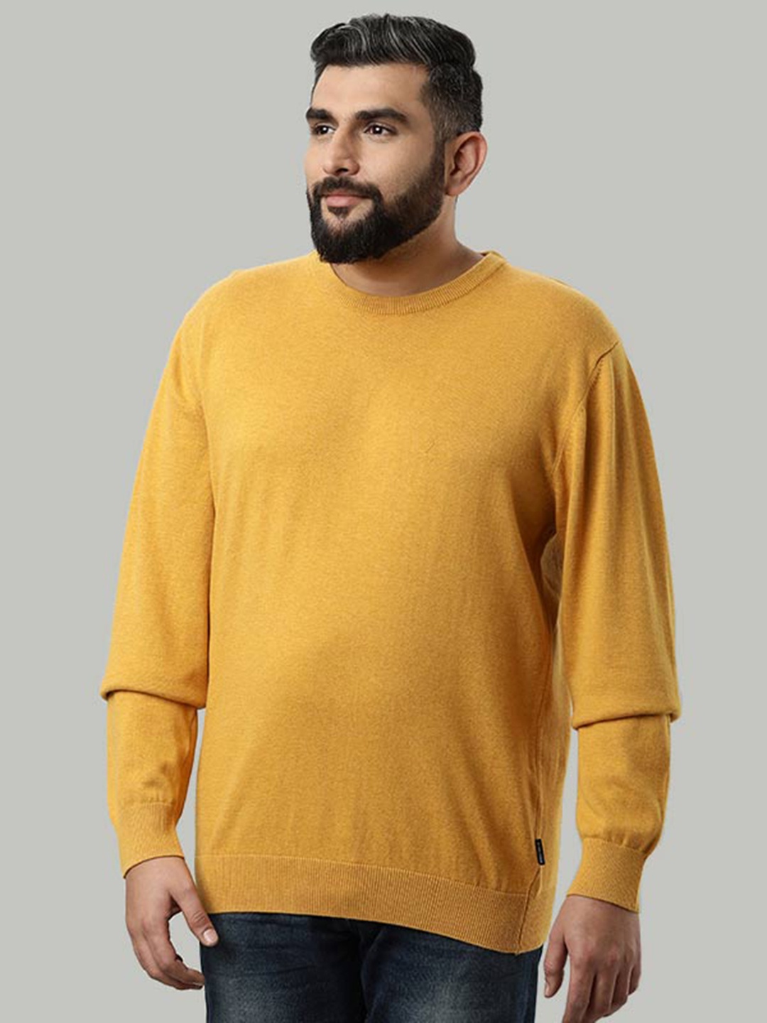 

Indian Terrain Plus Size V-Neck Pullover Sweater, Yellow