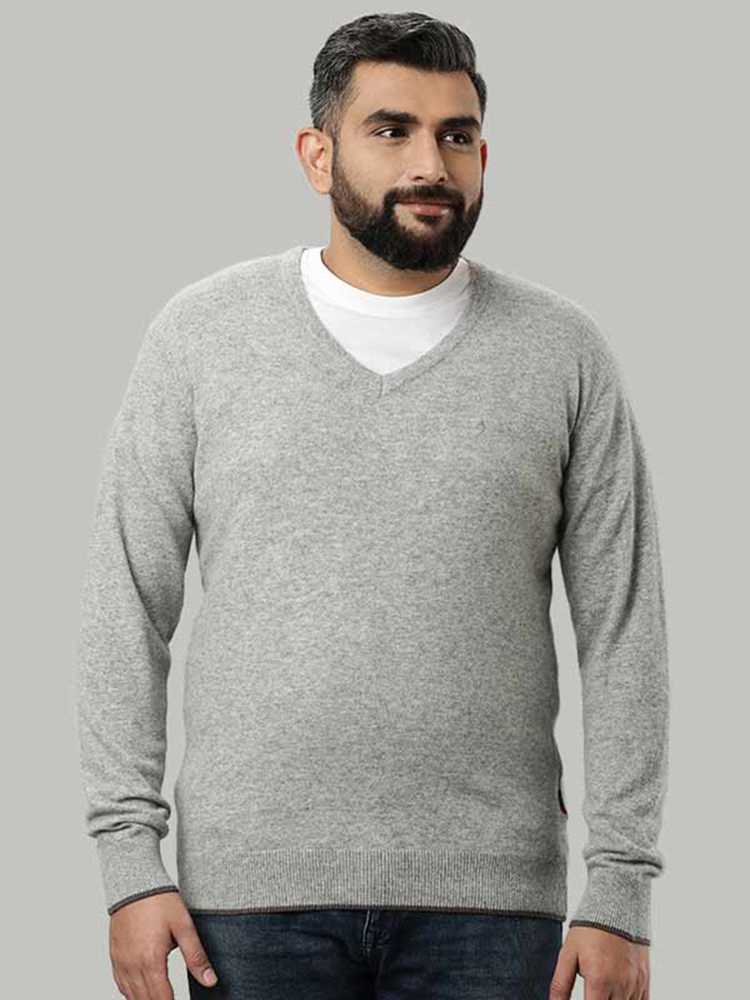 

Indian Terrain Men Grey V Neck Long Sleeves Woolen Regular Sweater