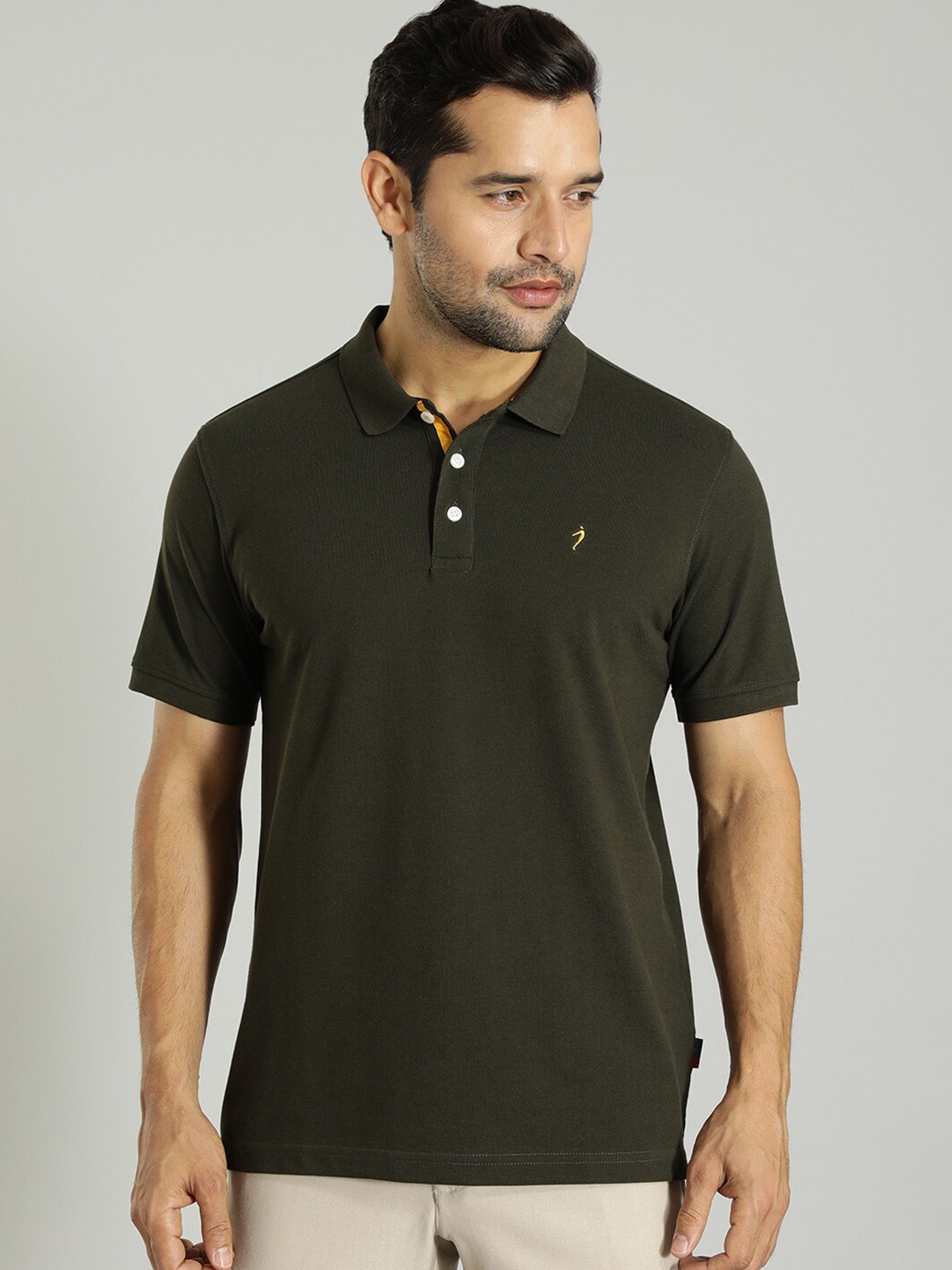 

Indian Terrain Polo Collar T-shirt, Green