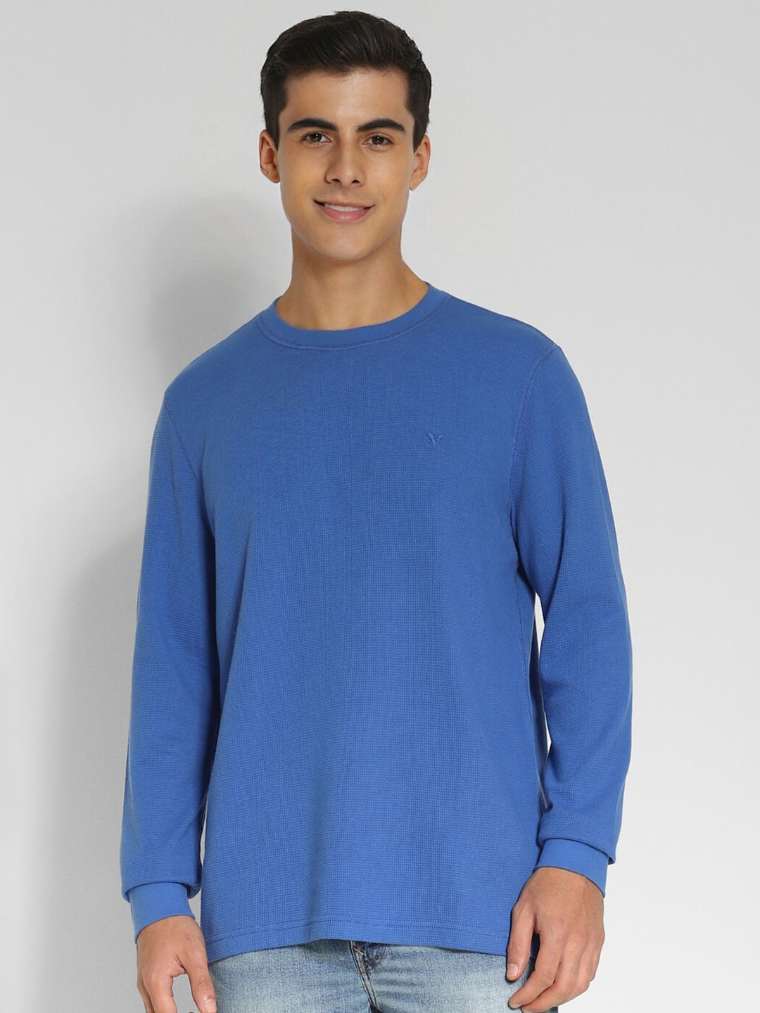 

AMERICAN EAGLE OUTFITTERS Round Neck Regular Fit T-shirt, Blue