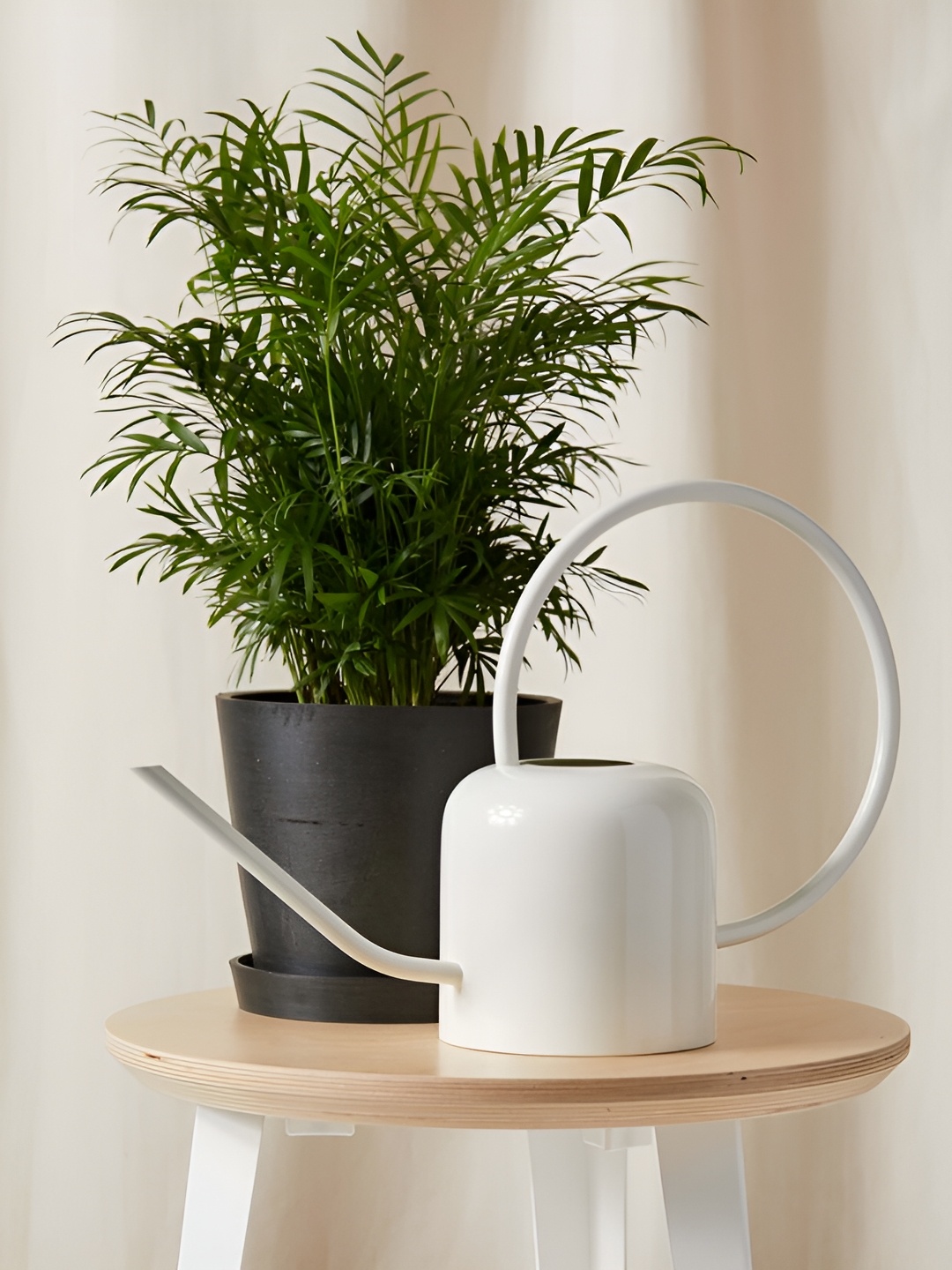 

OPAXA LIVING White Garden Watering Can