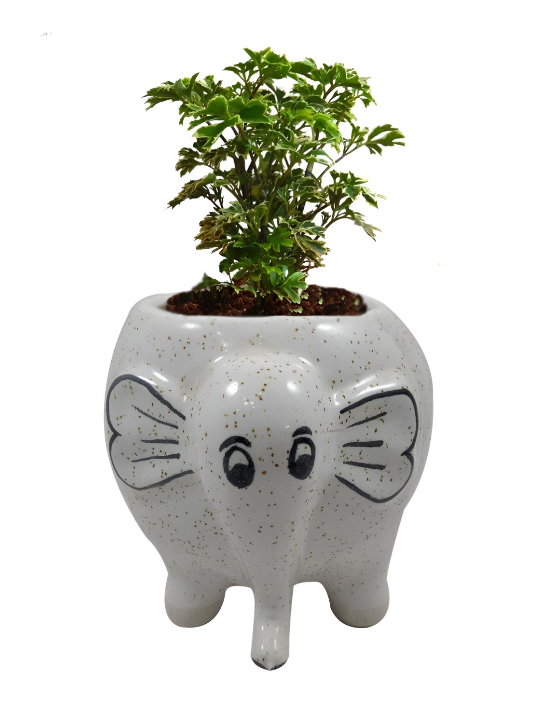 

INDIA MEETS INDIA White Ceramic Elephant Shape Planter