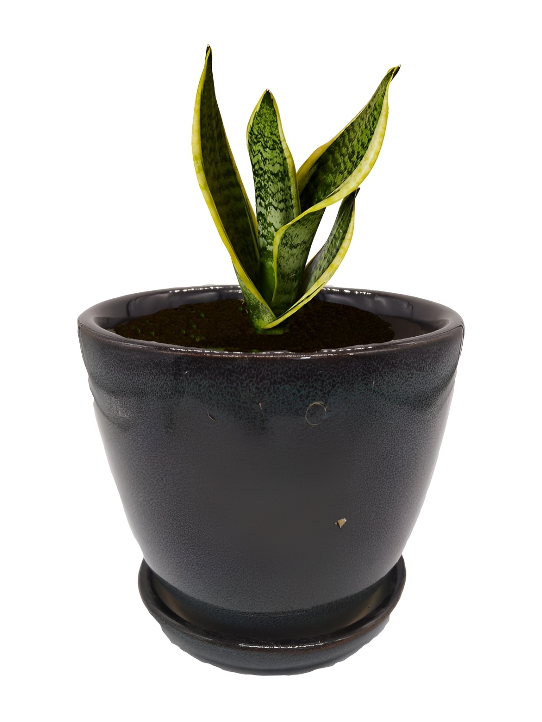 

INDIA MEETS INDIA Brown Ceramic CP Shaped Planter