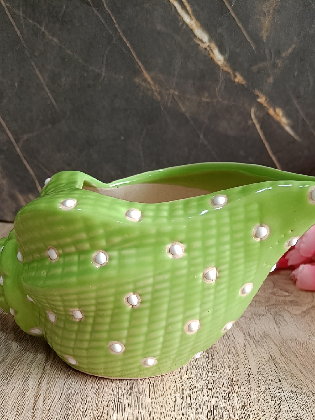 

INDIA MEETS INDIA Green & White Ceramic Shell Shaped Planter