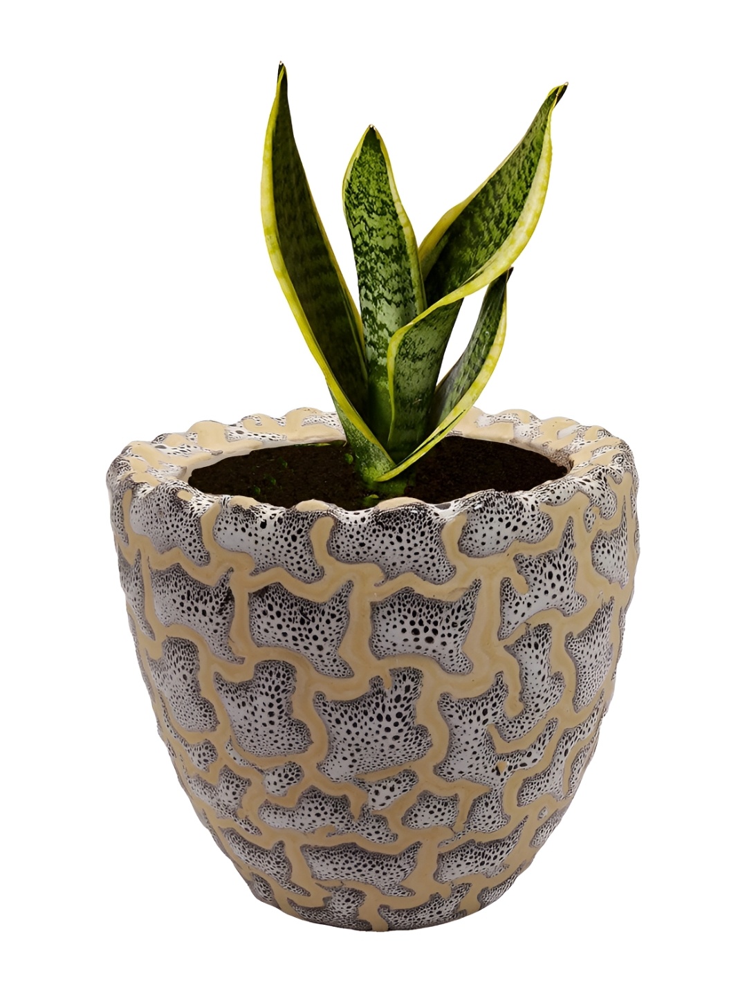 

INDIA MEETS INDIA Cream Coloured Ceramic CP Planter Pot