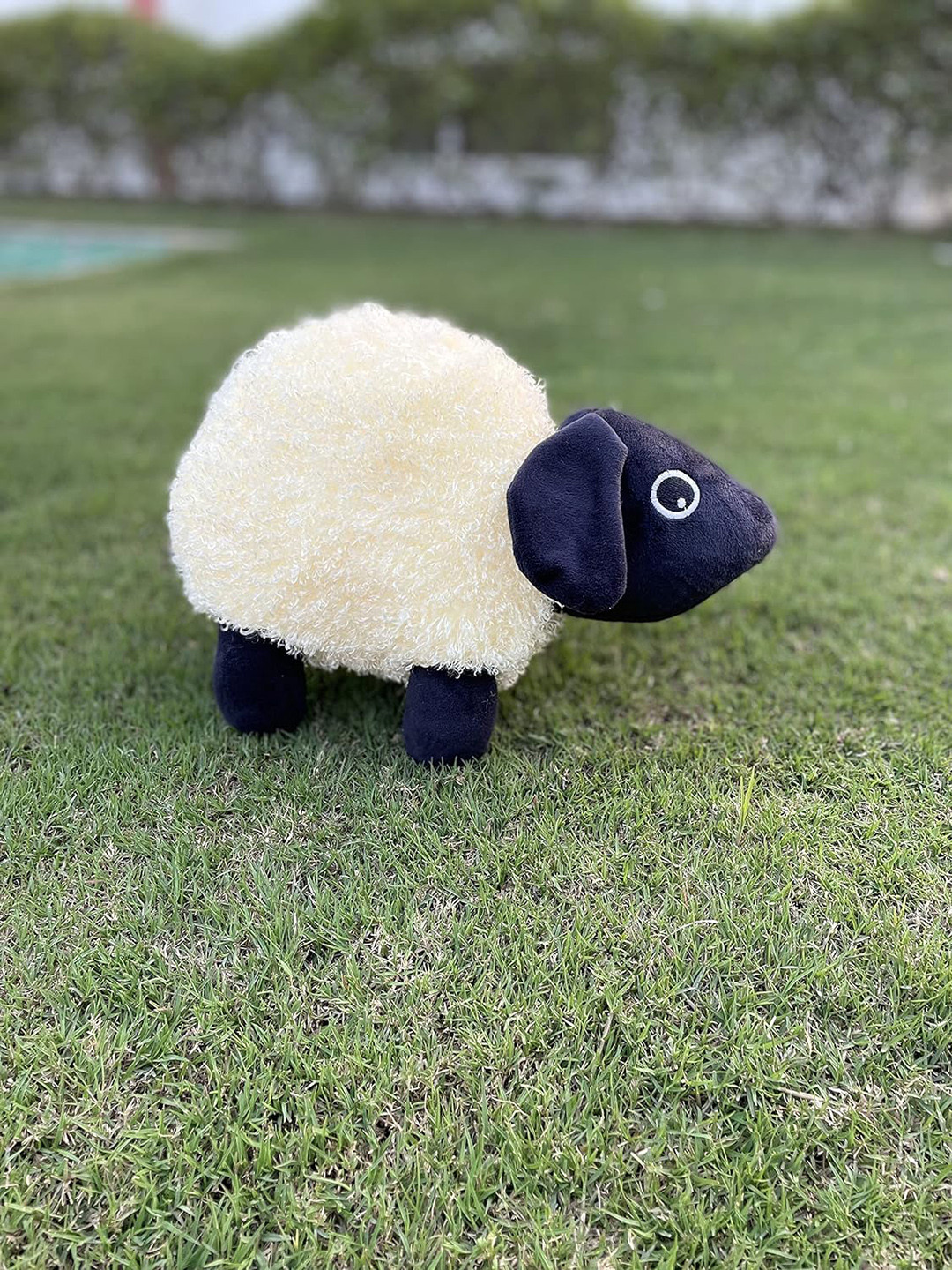 

BAESD Kids Black Sheep Soft Toys