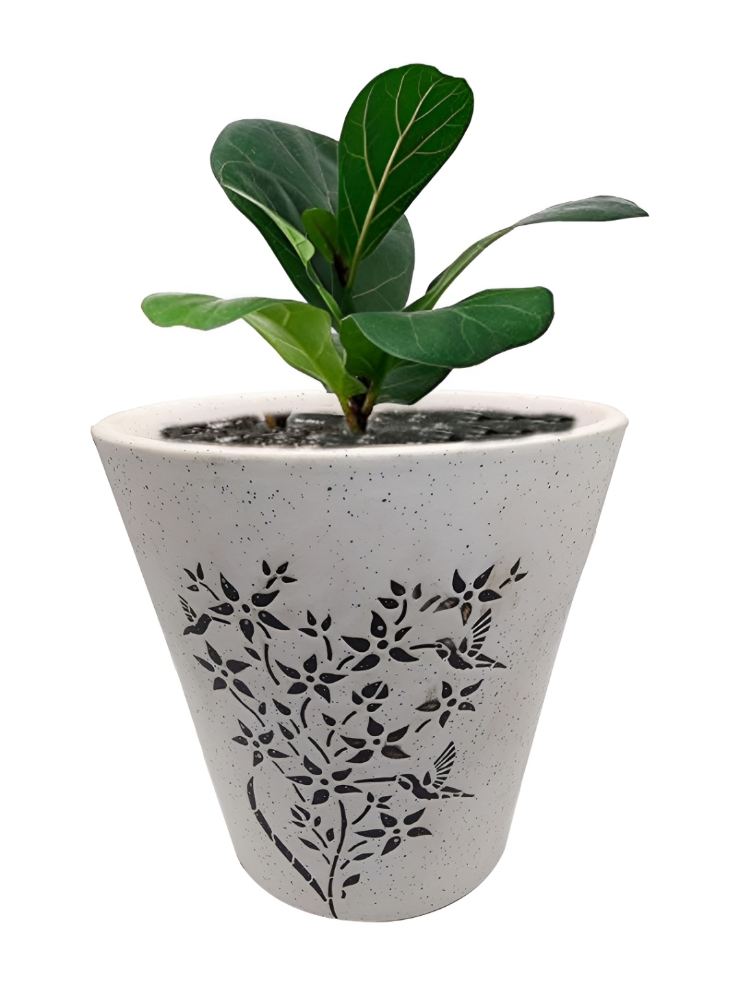 

INDIA MEETS INDIA White Textured Ceramic Planter