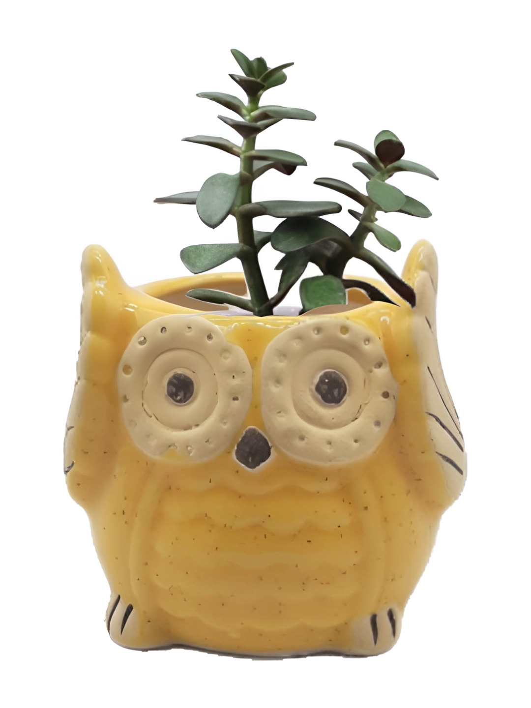 

INDIA MEETS INDIA Yellow Ceramic Owl Planter