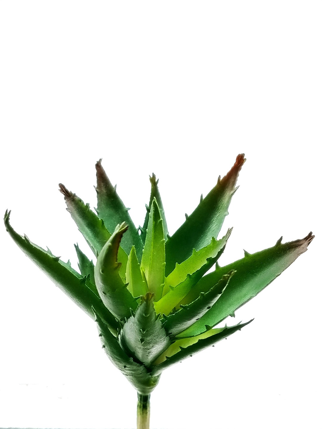 

Garden Deco Green Succulent Artificial Plant