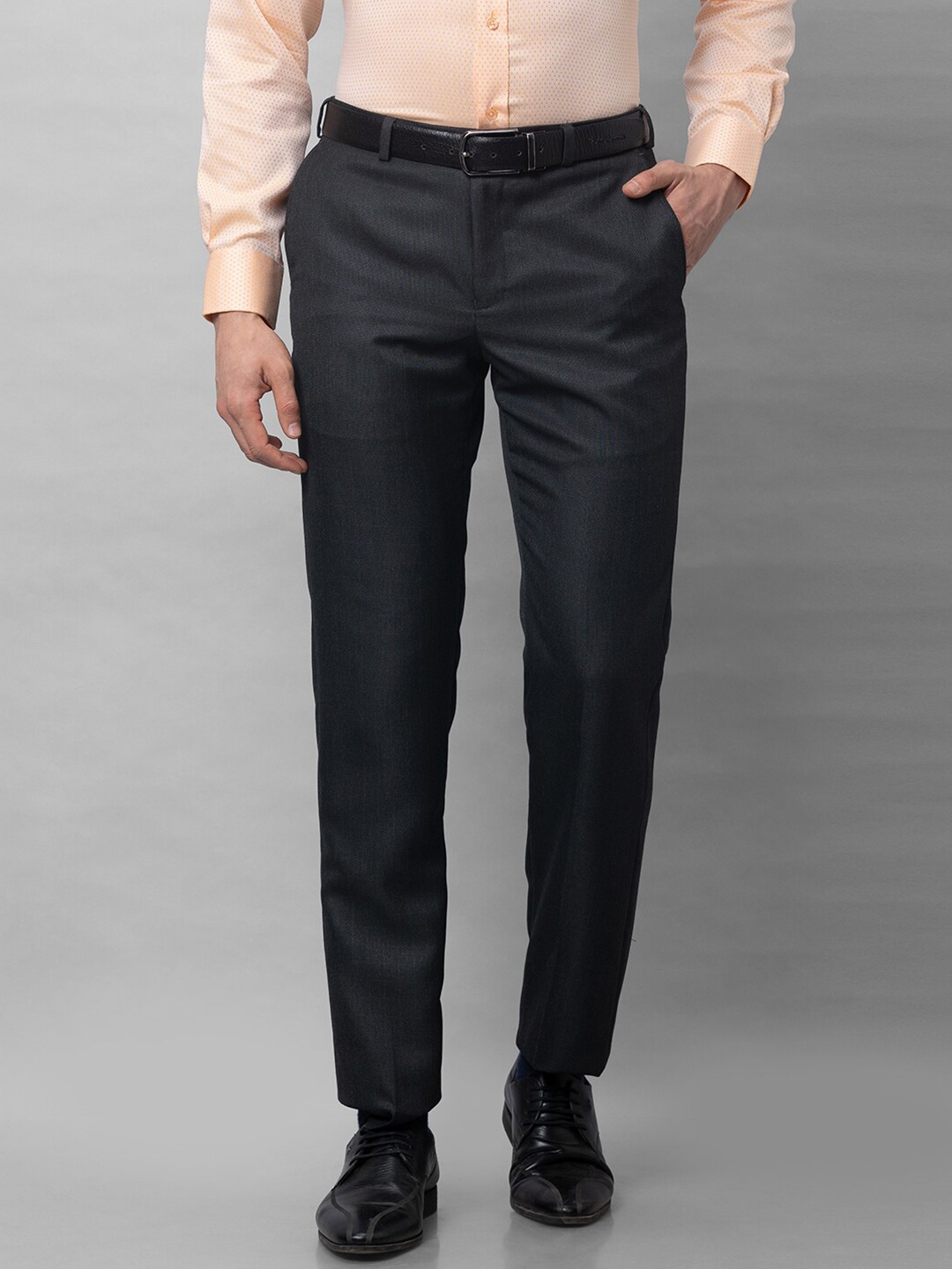 

Park Avenue Textured Regular Fit Mid-Rise Formal Trousers, Grey