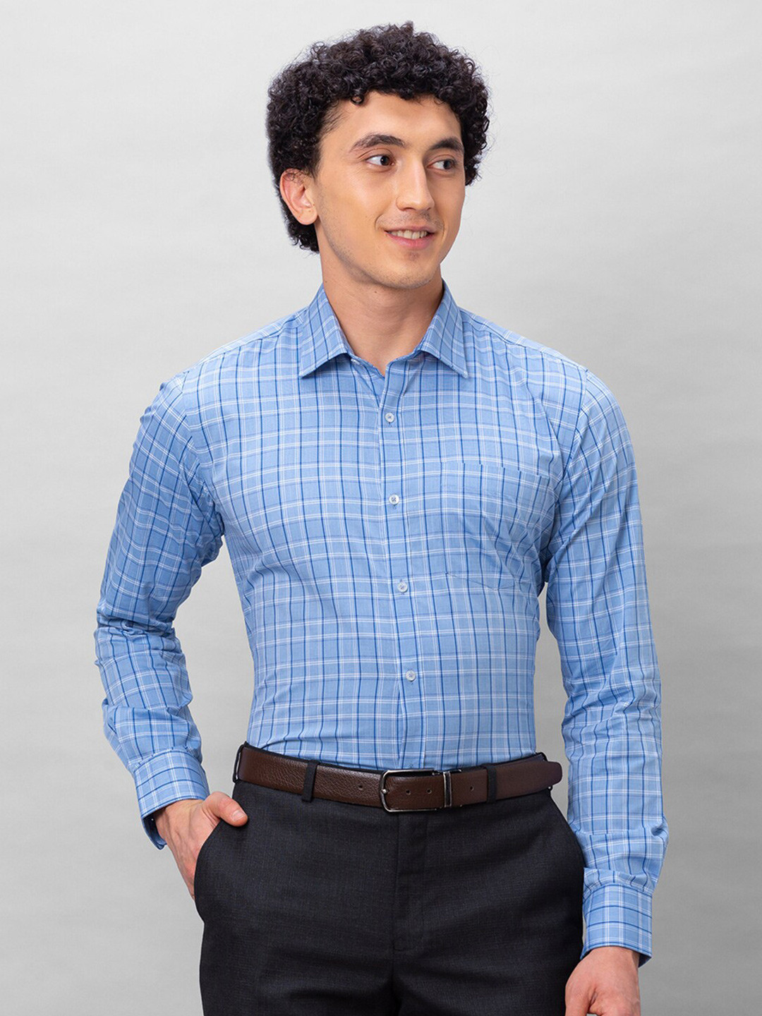 

Park Avenue Checked Spread Collar Cotton Slim Fit Formal Shirt, Blue