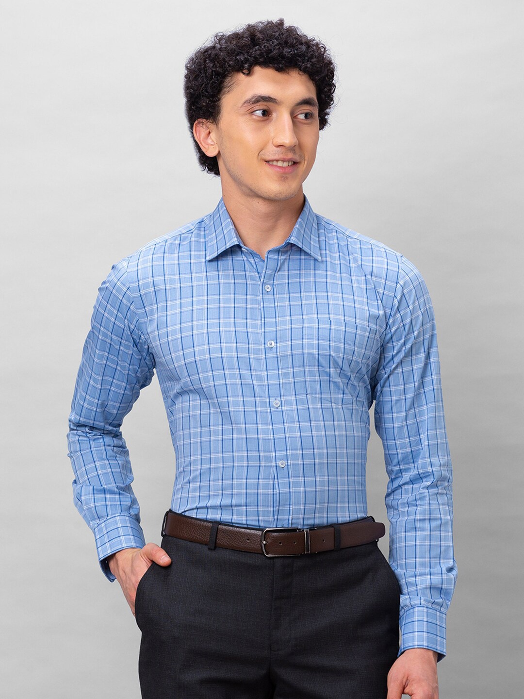 

Park Avenue Checked Cotton Slim Fit Opaque Straight Formal Shirt, Blue