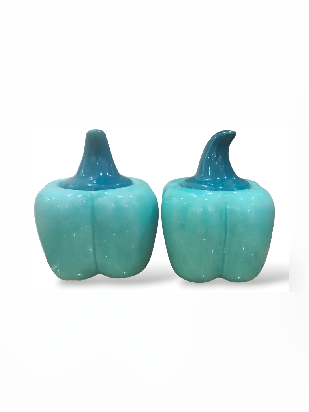 

Your Local Store Blue 2 Pieces Ceramic Container