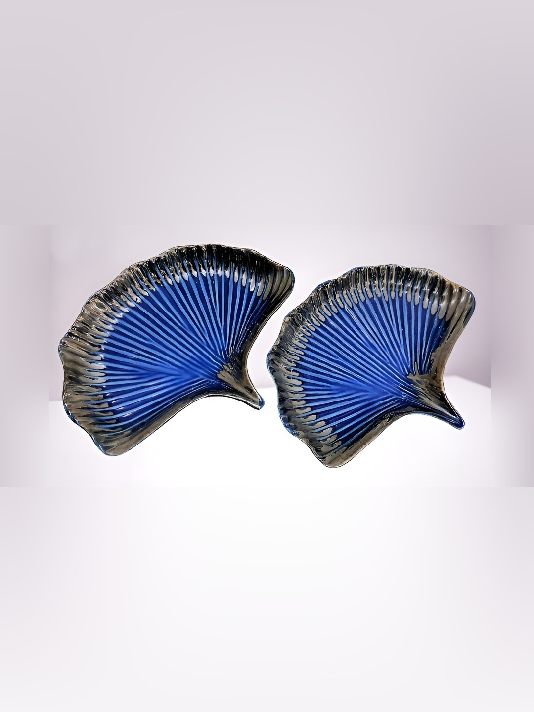 

Your Local Store Blue 2 Pieces Textured Ceramic Glossy Dinner Set