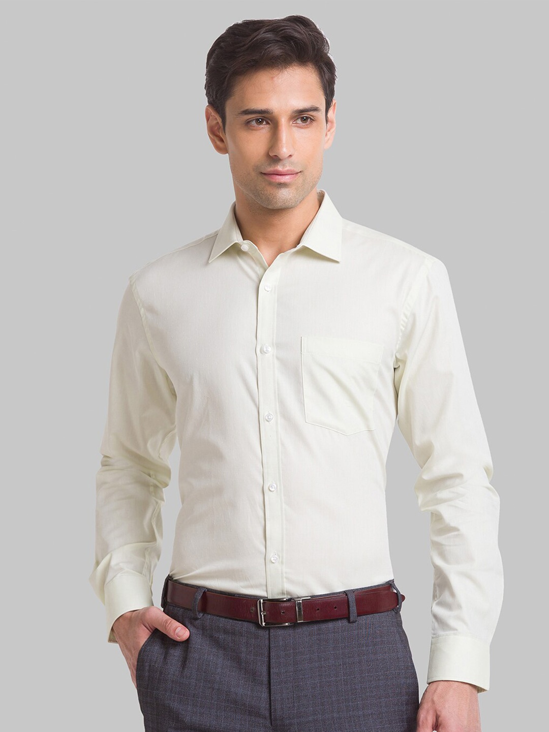 

Park Avenue Spread Collar Slim Fit Cotton Opaque Formal Shirt, Green