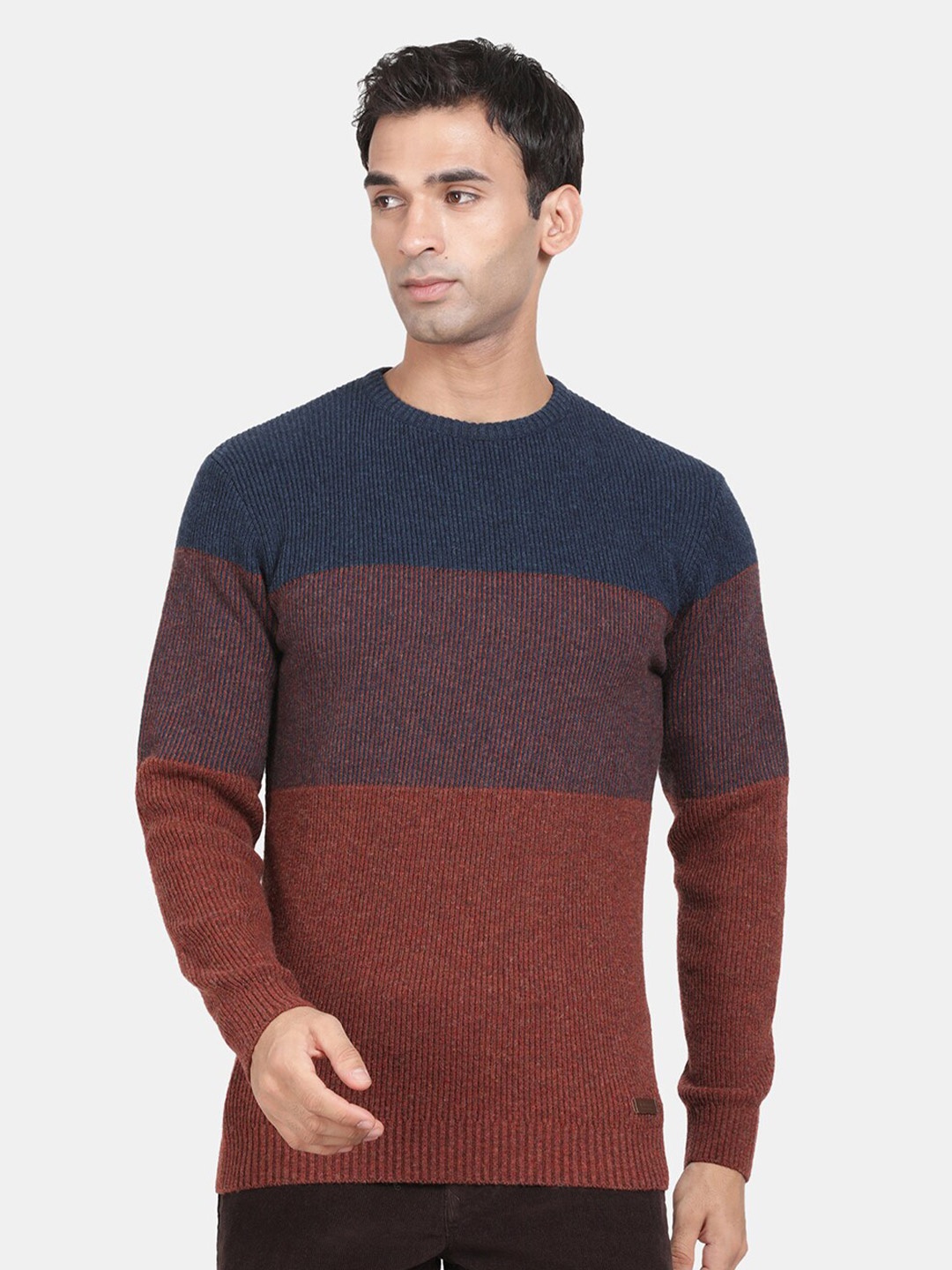 

t-base Colourblocked Round Neck Pullover Sweaters, Navy blue