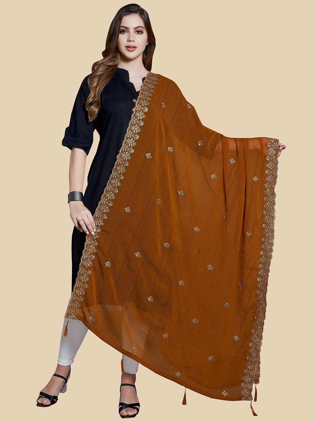 

Rani Saahiba Ethnic Motifs Embroidered Dupatta with Zari, Brown