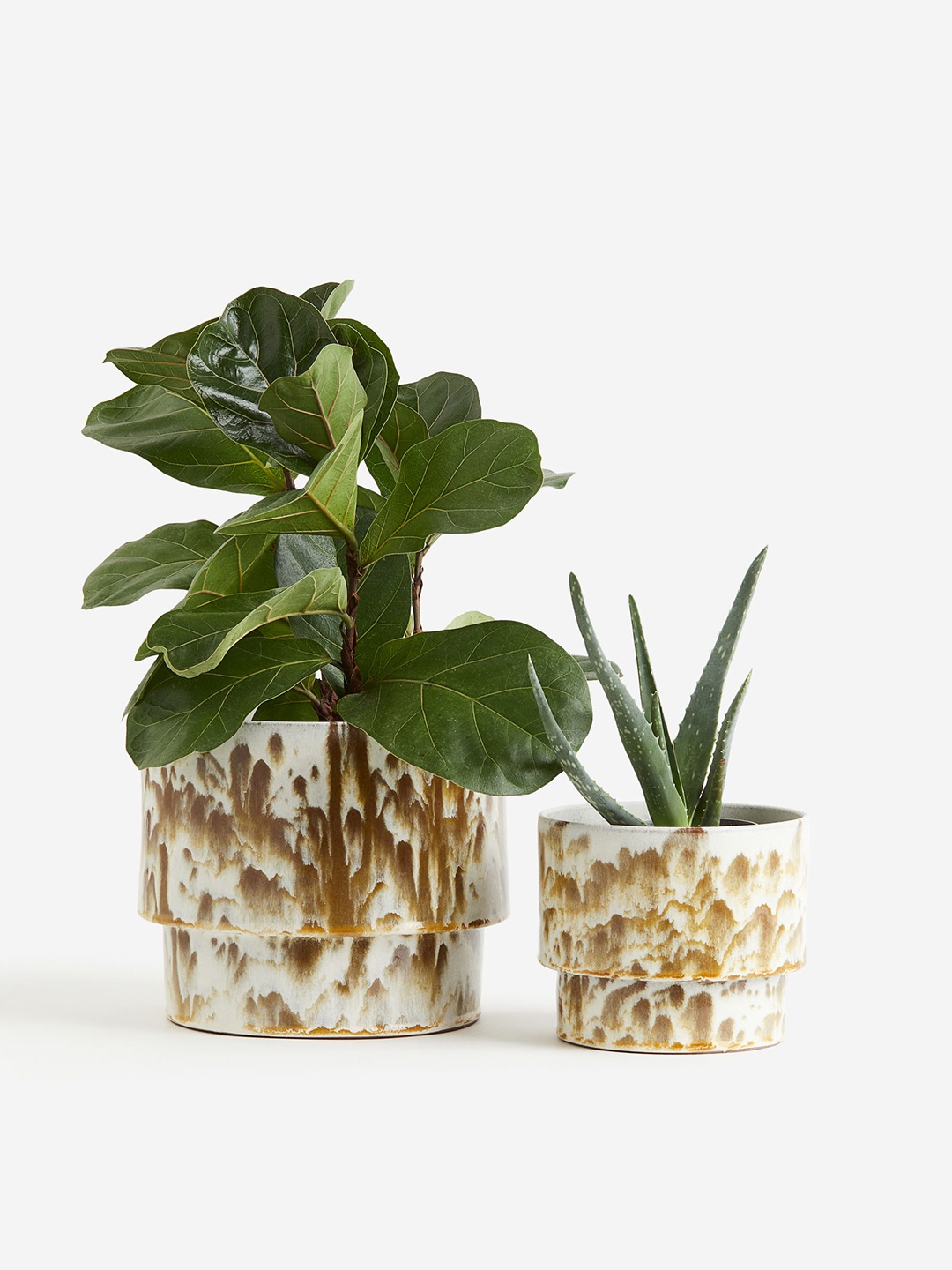 

H&M Brown Printed Extra-Large Terracotta Plant Pot