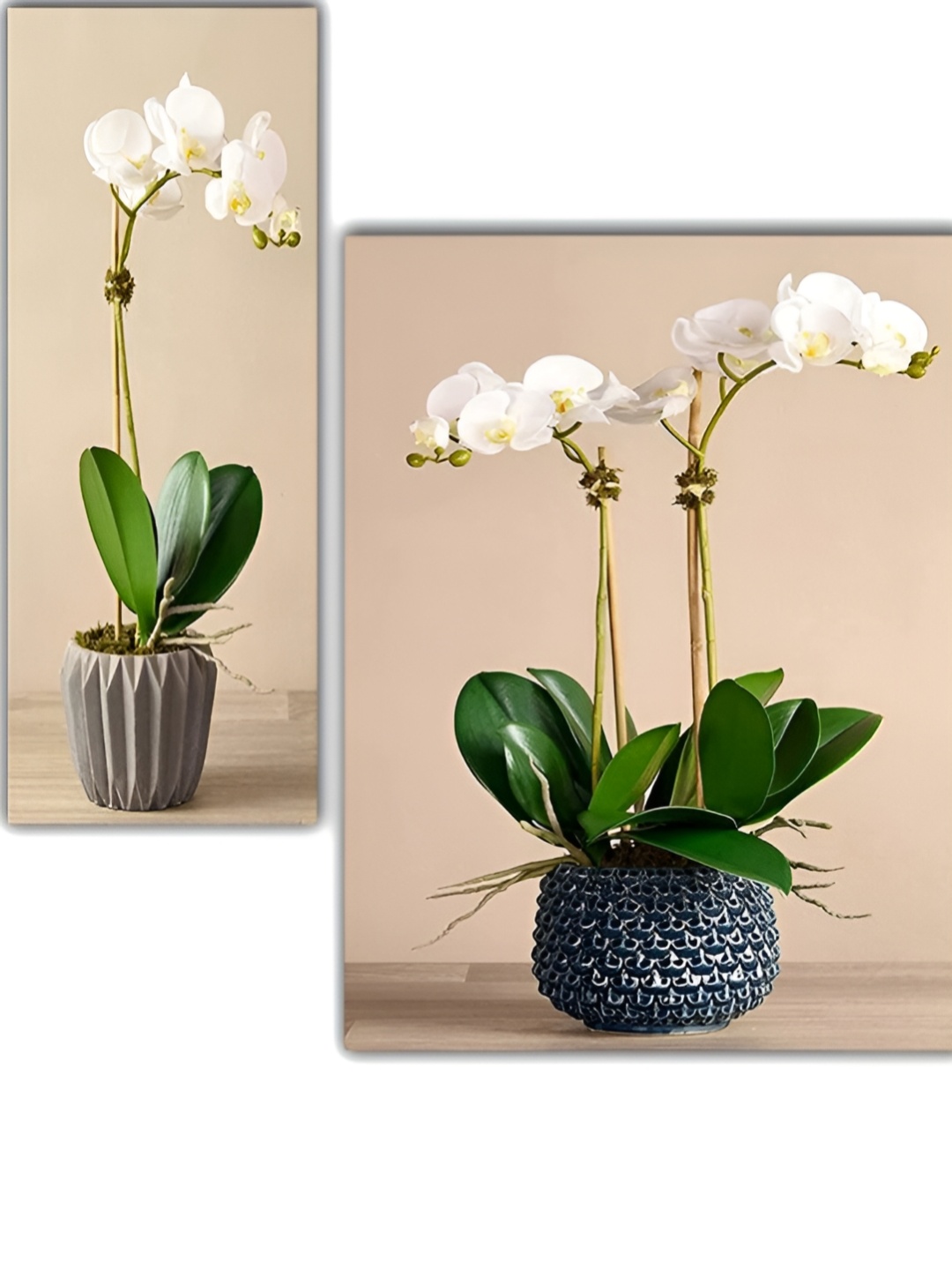

WALLMAX Beige & Green 3 Pieces Flowers Painting Framed Wall Arts