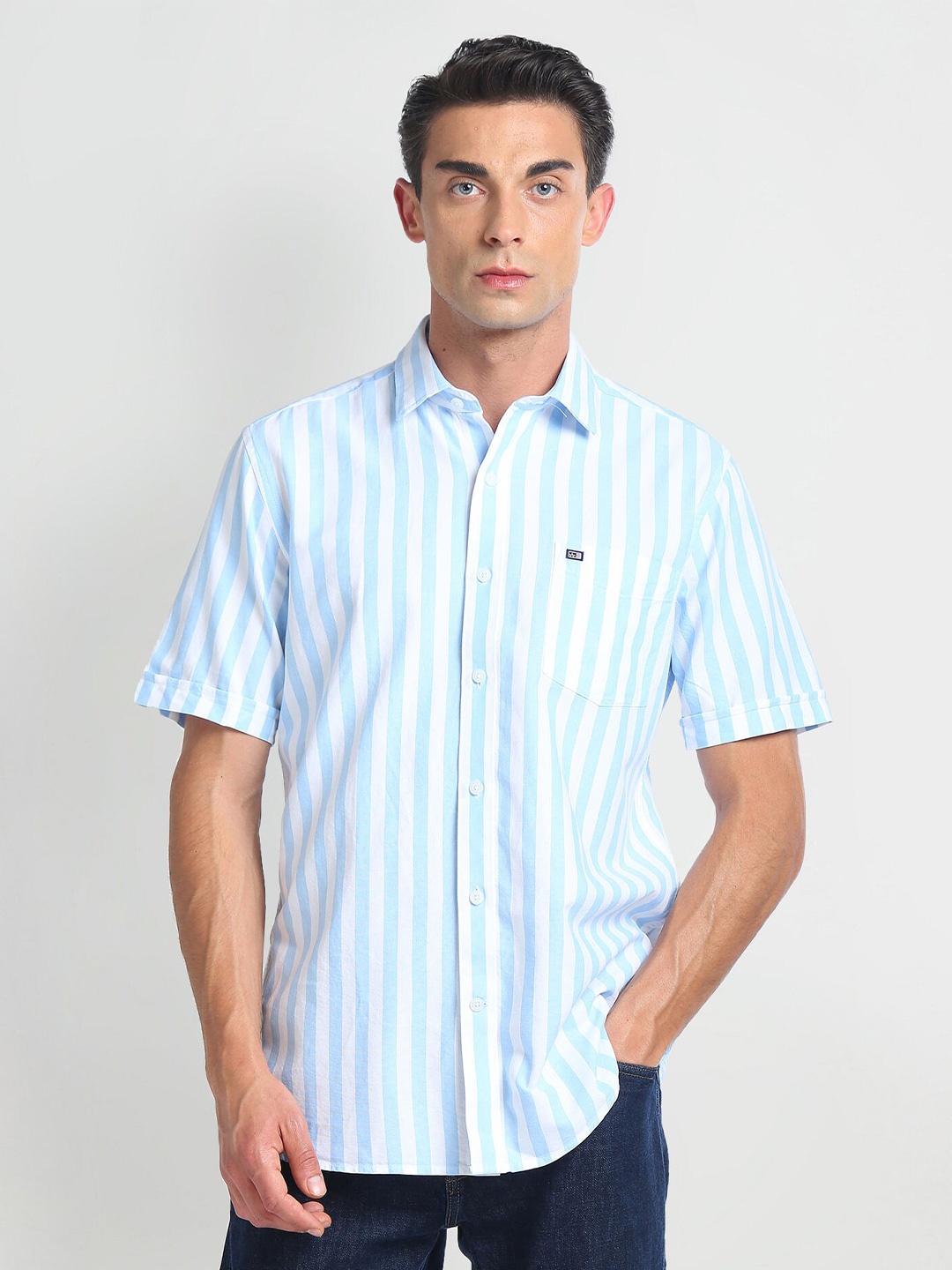 

Arrow Sport Spread Collar Short Sleeves Cotton Striped Casual Shirt, Blue