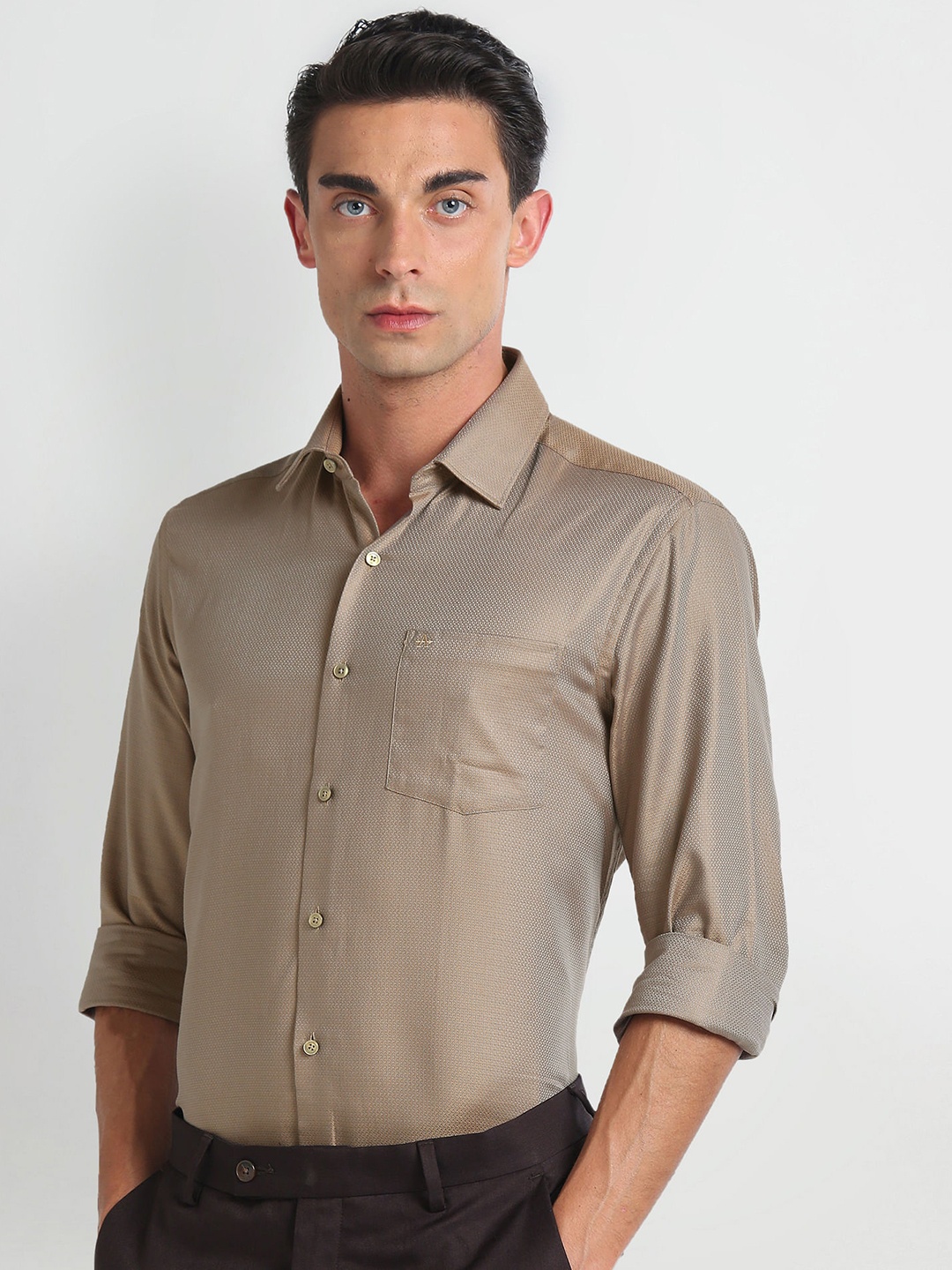 

Arrow Spread Collar Slim Fit Opaque Cotton Formal Shirt, Beige