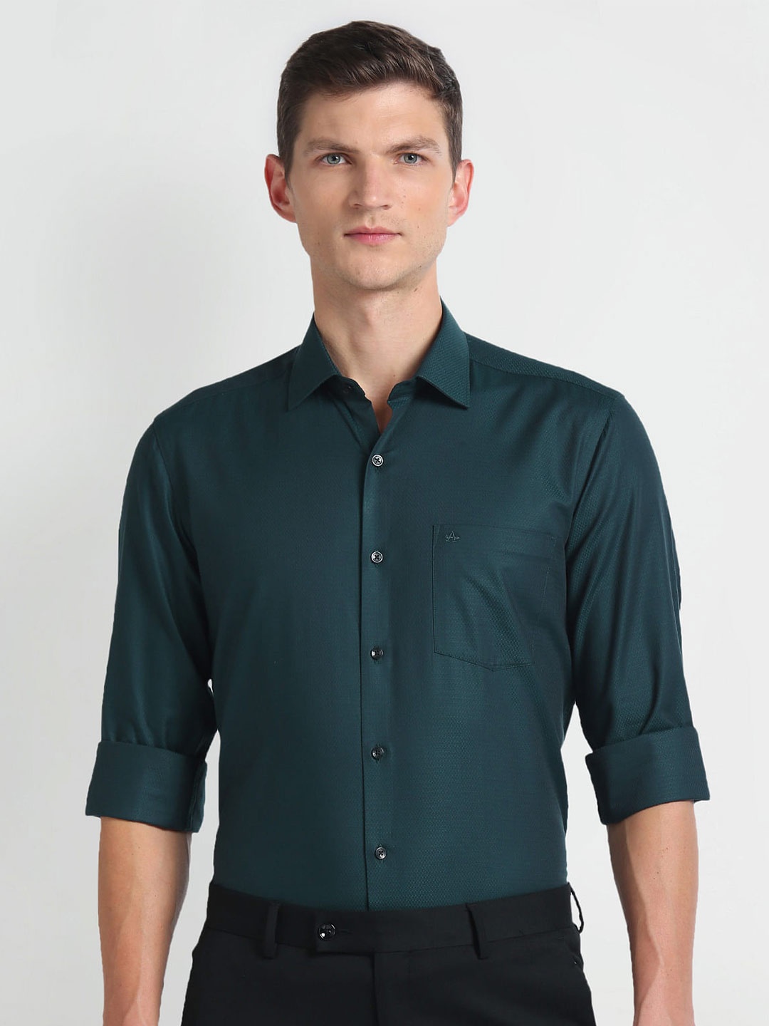 

Arrow Slim Fit Cotton Formal Dobby Shirt, Green