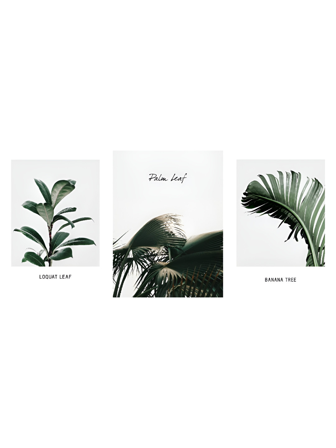 

WALLMAX White & Green 3 Pcs Plants UV Textured Framed Painting Wall Art