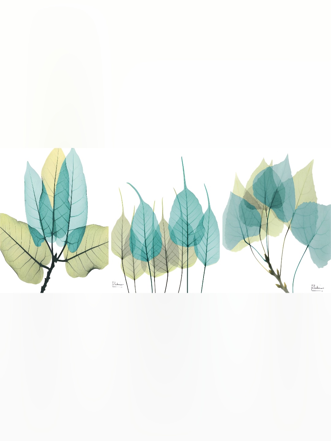 

WALLMAX Green 3 Pieces MDF Painting Wall Art