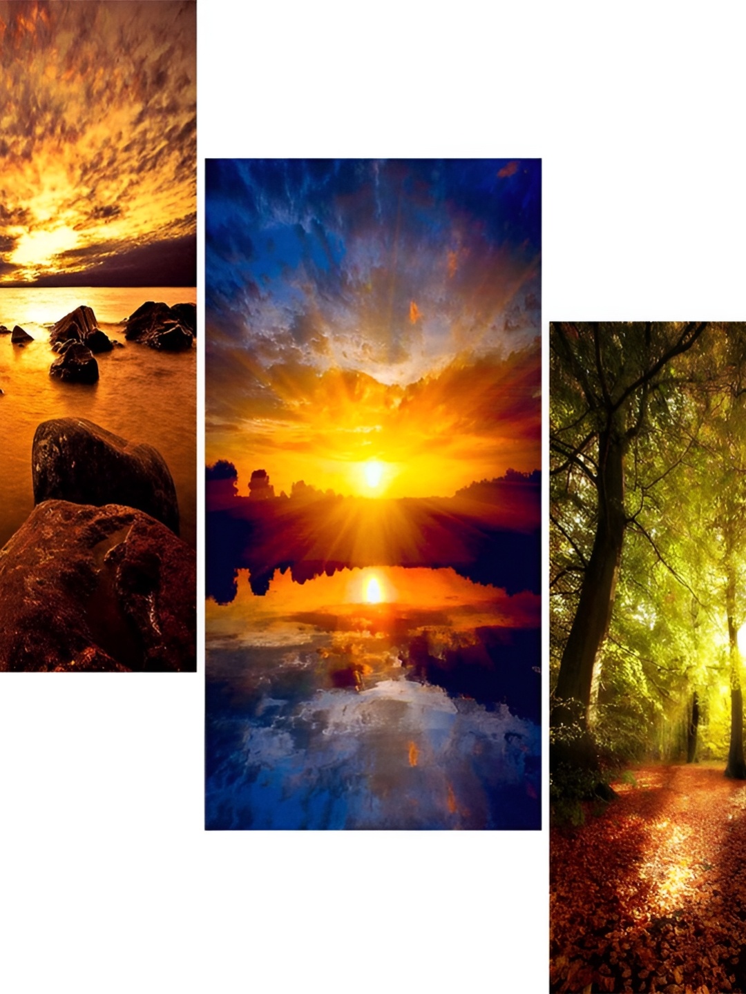 

WALLMAX Blue & Orange 3-Pcs Nature Painting Framed Wall Art