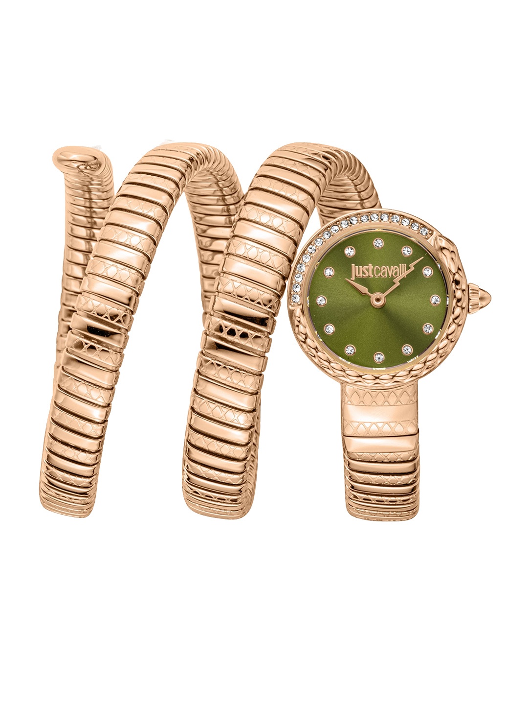 

Just Cavalli Women Embellished Dial & Wrap Around Analogue Automatic Watch JC1L302M0045, Green